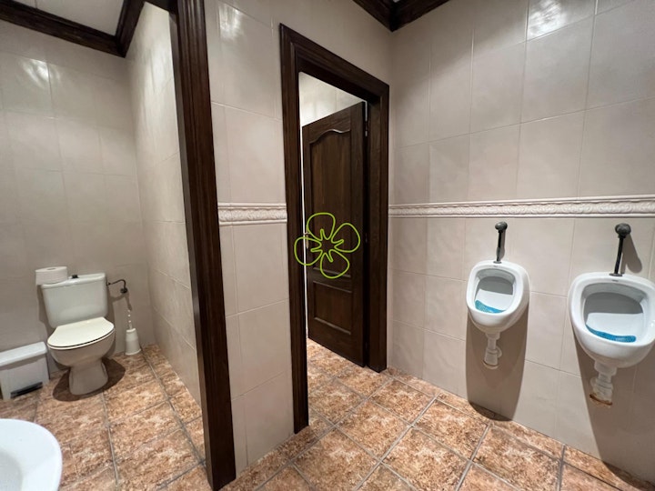 Image #16
