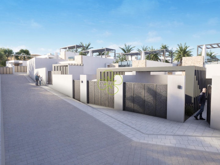 Image #12